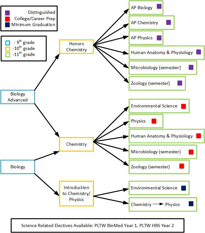 Flow chart depicting routes to graduation